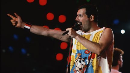 Freddie Mercury, le chanteur du groupe Queen, lors d'un concert en 1980. (MAXPPP)