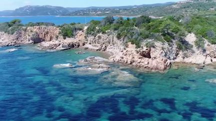 Corse : escale dans les eaux translucides de Palombaggia et des îles Lavezzi&nbsp; (FRANCE 2)