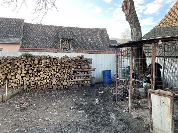 Bois de chauffage : de plus en plus de coupes illégales