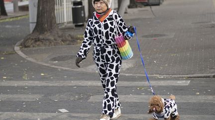 Une femme prom&egrave;ne son chien dans les rues de P&eacute;kin (Chine), le 2 d&eacute;cembre 2014. (FRED DUFOUR / AFP)