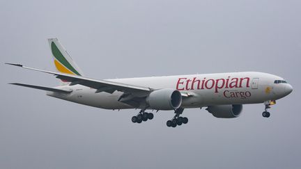 Boeing 777 de la compagnie Ethiopian Airlines avant son atterrissage. La compagnie nationale, numéro 1 du transport aérien africain, envisage la construction d'un nouvel aéroport à 48 km de la capitale Addis Abeba.&nbsp;&nbsp; (NICOLAS ECONOMOU / NURPHOTO)