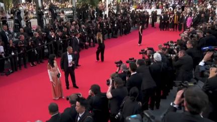 Festival de Cannes 2022 : suspense avant l’annonce de la Palme d’or (FRANCE 3)