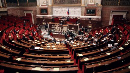 L'h&eacute;micycle de l'Assembl&eacute;e nationale, 8 f&eacute;vrier 2012. (PIERRE VERDY / AFP)