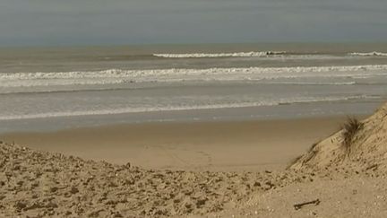 Charente-Maritime : un couple découvre une bouteille jetée à la mer en provenance de New York