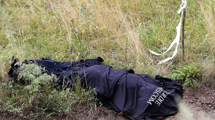  (Un drapeau blanc pour marquer la présence d'un corps sur la zone du crash © Maxppp)