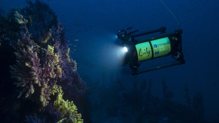 Le robot d'observation surnommé Lily permet à l'équipe de 1 OCEAN soit de repérer les plongées profondes, soit d'estimer la taille des gorgones en vu du prélèvement des échantillons. (ALEXIS ROSENFELD / FONDATION 1 OCEAN)