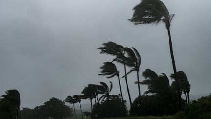 La ville de Saint-Pierre, sur l'île de La Réunion, lors du passage du cyclone Batsirai, le 3 février 2022. (BASTIEN DOUDAINE / HANS LUCAS / AFP)