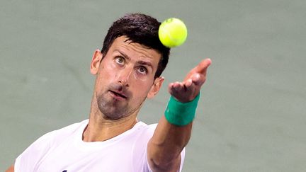 Novak Djokovic lors du tournoi de Dubaï, le 20 février 2022.&nbsp; (KARIM SAHIB / AFP)