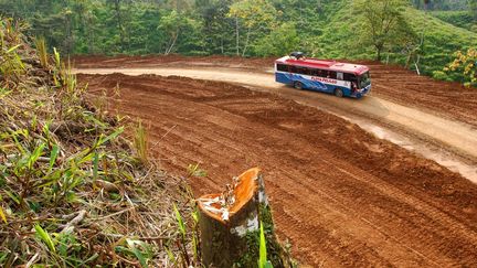 Un bus circule sur une route de la forêt amazonienne le 29 septembre 2022. (ANTOINE LORGNIER / BIOSPHOTO / AFP)