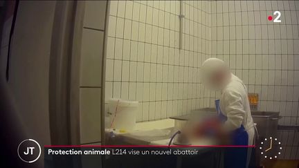 Dans un abattoir de l'entreprise Bigard. (France 2)