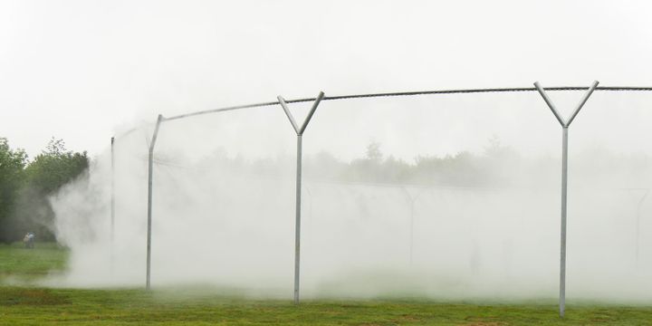 Le brouillard d'Olafur Eliasson ("Fog Assembly"), installé dans le bosquet de l'Etoile, à Versailles (6 juin 2016)
 (photo Valérie Oddos / Culturebox / France Télévisions)