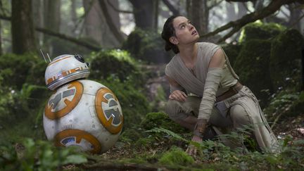 BB-8 et Rey (Daisy Ridley), dans "Le Réveil de la Force". (LUCASFILM LTD &TM)