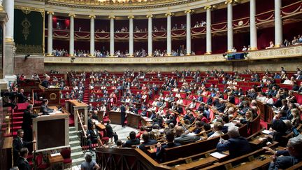 L'Assemblée nationale, à Paris, le 10 juillet 2018.&nbsp; (CHAMUSSY / SIPA)