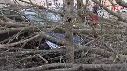 VIDEO. Les dégâts de la tempête en France