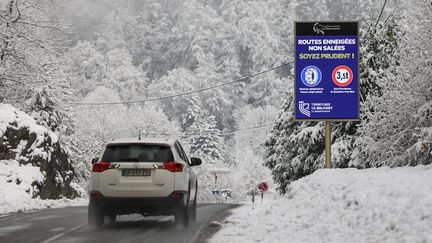 Une zone enneigée au pied du Ballon d'Alsace. (MICHAEL DESPREZ / MAXPPP)