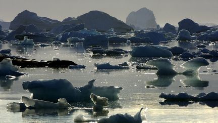 Des icebergs de la région d'Angmassalik, sur la côté Est du Groenland, en avril 2019. (PHILIPPE ROY / PHILIPPE ROY)