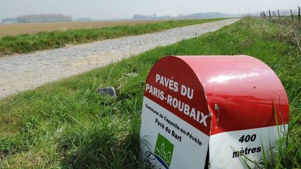 Photo prise près des pavés de Cappelie-en-Pévèle (Nord) lors du Paris-Roubaix 2012.&nbsp; (FRANCK FIFE / AFP)