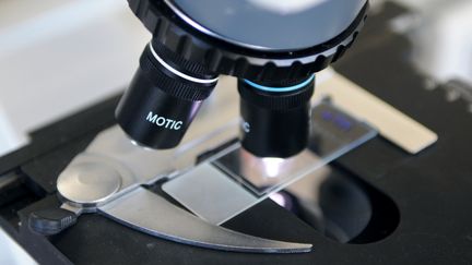 Un microscope dans un laboratoire de Cergy-Pontoise (Val-d'Oise), le 24 février 2010. (Photo d'illustration) (ERIC PIERMONT / AFP)