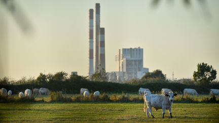 Centrale à charbon : la fermeture de Cordemais repoussée ?