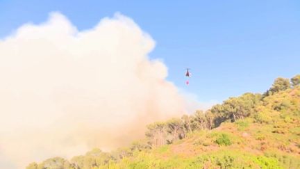 Incendie près de Marseille : le feu progresse moins vite, mais n’est pas maîtrisé (FRANCE 2)