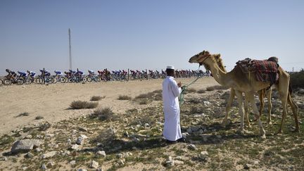 Un homme et un dromadaire&nbsp;sur le bord de la route de la quatrième étape du Tour du Qatar, le 11 février 2016.&nbsp; (ERIC FEFERBERG / AFP)