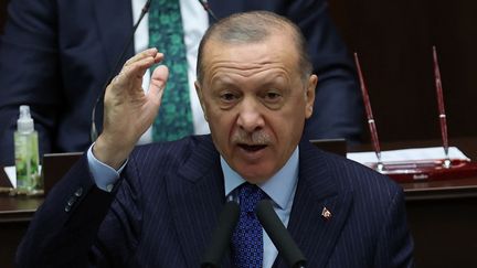 Le président turc Recep Tayyip Erdogan à l'Assemblée nationale à Ankara (Turquie).
 (ADEM ALTAN / AFP)