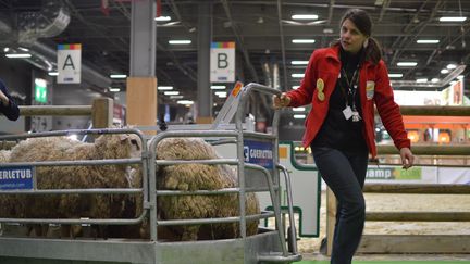 Retour au bercail pour les animaux du Salon de l'agriculture (photo d'illustration). (VICTOR VASSEUR / RADIO FRANCE)