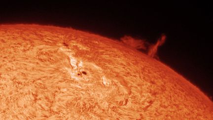 Des filaments solaires et des projections de plasma sont observés à la surface de l'astre le 25 juin 2004. (SEBASTIAN VOLTMER / AFP)