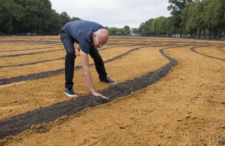 De grandes lignes courbes  dessinées en terre noire sur du sable clair
 (Saul Loeb/AFP)