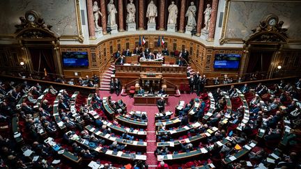 L'hémicycle du Sénat, à Paris, le 28 février 2024. (XOSE BOUZAS / HANS LUCAS / AFP)