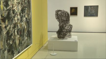 42 femmes artistes des années 50 exposées au musée Soulages à Rodez, dans l'Aveyron.&nbsp;&nbsp; (France Télévisions /  L. Tazelmati)