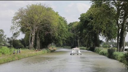 Tourisme fluvial : éloge du temps long sur le canal du Midi