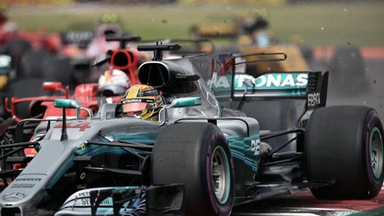 Lewis Hamilton sacré pour la 4e fois (YURI CORTEZ / AFP)