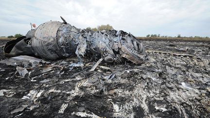 Les restes du vol MH17 de la Malaysia Airlines, le 18 juillet 2014, au lendemain du crash de l'appareil , dans l'est de l'Ukraine. (DOMINIQUE FAGET / AFP)