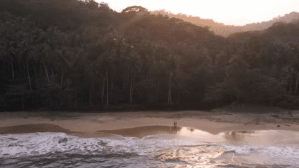 Sao Tomé-et-Principé : la beauté sauvage des "îles chocolat" (France 2)