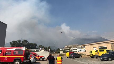 L'incendie en Haute-Corse.&nbsp; (MAXIME BECMEUR / RADIO FRANCE)