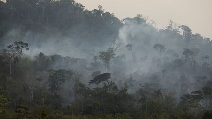 Bolivie : une forêt du pays dévastée par les incendies