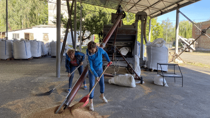 Certains retraités ukrainiens ont accepté de reprendre le travail à Hlevakha, près de Kiev, face au manque de main-d'œuvre. (BORIS LOUMAGNE / FRANCE INFO / RADIOFRANCE)