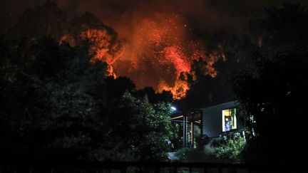 Un incendie à Santa Juana, dans la province de Concepcion, au Chili, le 3 février 2023 (JAVIER TORRES / AFP)