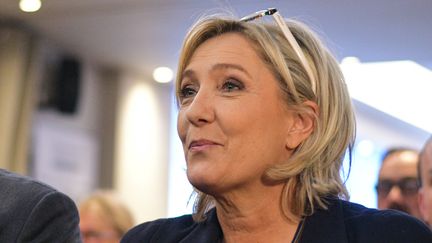 La présidente du Front national, Marine Le Pen, le 9 décembre 2016 à Paris.&nbsp; (YANN KORBI / CITIZENSIDE / AFP)