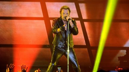 Johnny Hallyday en juin 2013 donne un concert à Bordeaux
 (NICOLAS TUCAT / AFP)