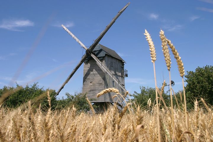 Le moulin de Moutiers-en-Beauce (OFFICE DE TOURISME EURE-ET-LOIR / PATRICK FORGET)