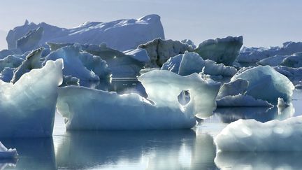 Des icebergs dans le fjord Sermilik, au Groenland, le 12 août 2018. (PHILIPPE ROY / AFP)