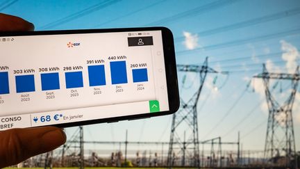 Un diagramma del consumo di un cliente EDF davanti alle linee ad alta tensione, 22 gennaio 2024. (JEAN-MARC BARRERE / HANS LUCAS / AFP)