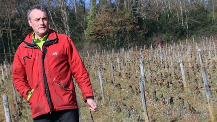 Le viticulteur bio Emmanuel Giboulot, le 12 f&eacute;vrier 2015, dans une de ses vignes cultiv&eacute;es en biodynamie, &agrave; Beaune (C&ocirc;te-d'Or). (BENOIT ZAGDOUN / FRANCETV INFO)