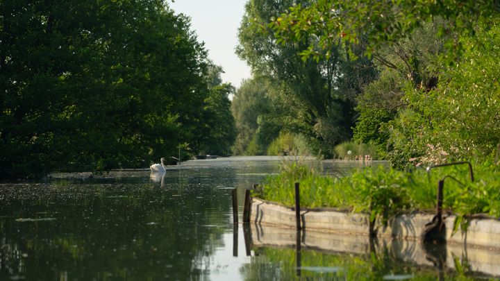 Le Bourges Canoë Kayak Club organise des balades en canoë pour faire découvrir aux touristes et aux locaux les marais à quelques pas du centre-ville. (AD2T DU CHER)