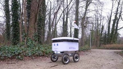 Belgique : des robots livreurs testés par la grande distribution