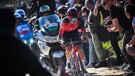 Tom Pidcock sur la route des Strade Bianche, le samedi 4 mars 2023, à Sienne. (MARCO BERTORELLO / AFP)