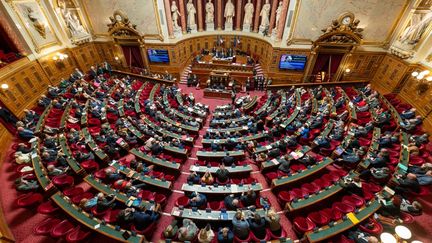 Le Sénat, à Paris, le 17 janvier 2024. (STEPHANE MOUCHMOUCHE / HANS LUCAS / AFP)