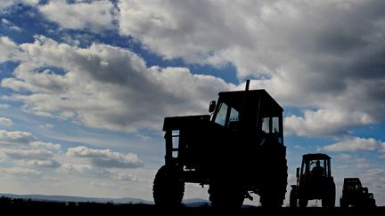 Des tracteurs &agrave;&nbsp;Velke Bilovice (R&eacute;publique tch&egrave;que), le 2 mars 2013. (RADEK MICA / AFP)